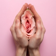 chirurgia plastica vulva vagina