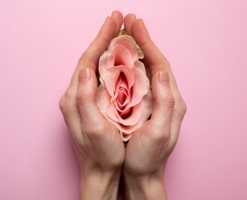 chirurgia plastica vulva vagina