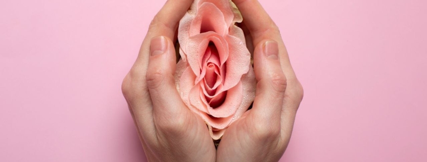 chirurgia plastica vulva vagina